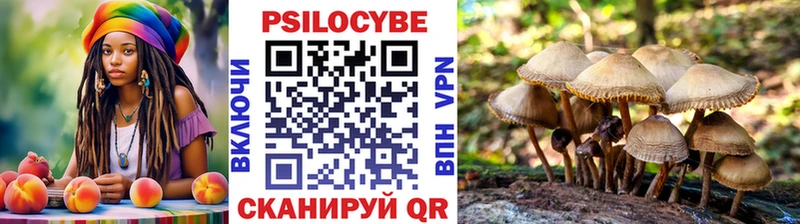Галлюциногенные грибы Cubensis  Купить  Белорецк 